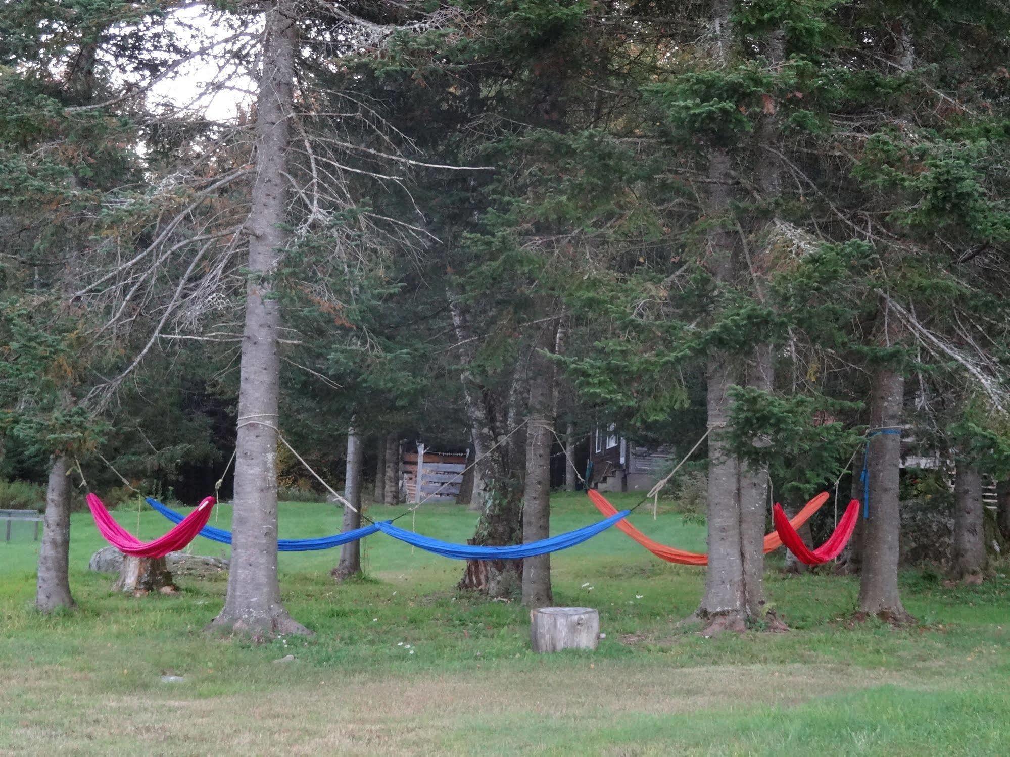 Robert Frost Mountain Cabins Middlebury Esterno foto