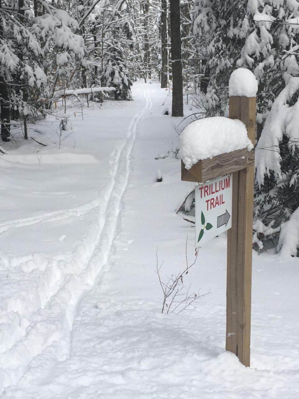 Robert Frost Mountain Cabins Middlebury Esterno foto